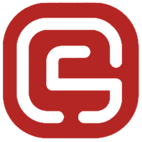 GSS – General Security Services